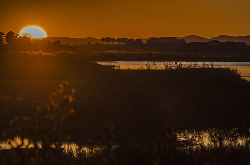 Ciudad Real - parque nacional de Las Tablas de Daimiel 12 - atardecer.jpg